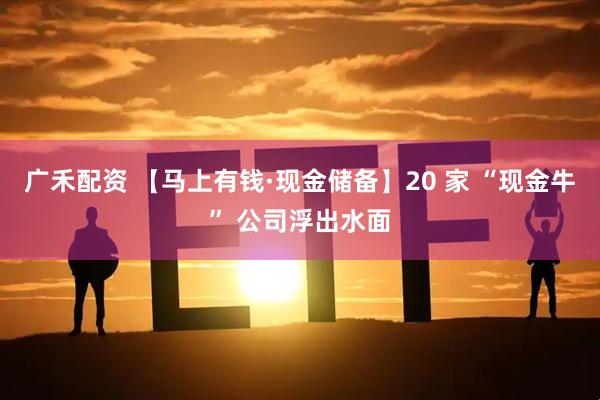 广禾配资 【马上有钱·现金储备】20 家 “现金牛” 公司浮出水面